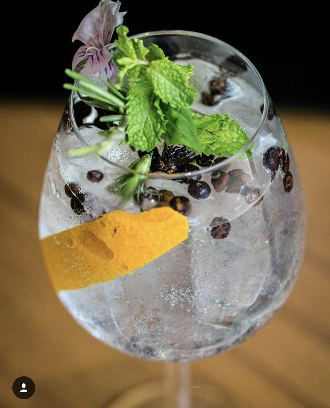 Gin and tonic,Food,Drink,Mint julep,Garnish,Mojito,Cocktail garnish,Basil,Glass,Herb