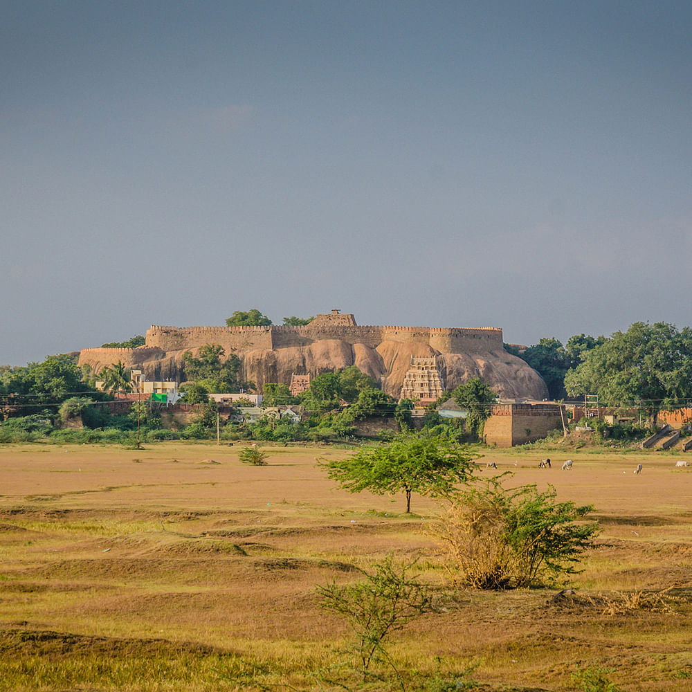 Sky,Field,Rural area,Grass,Grass family,Plain,Hill,Tree,Grassland,Village