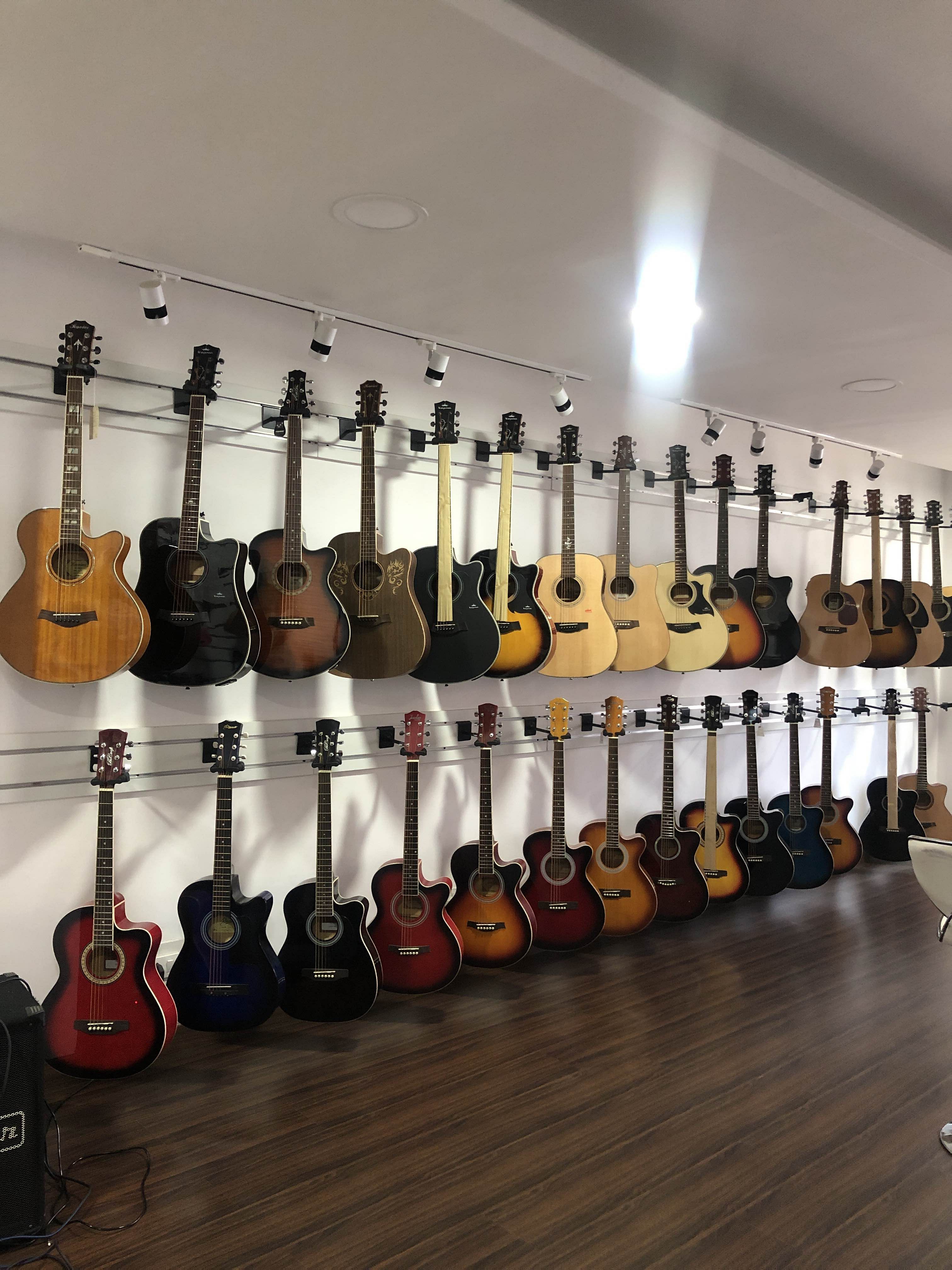 Guitar,String instrument,Plucked string instruments,String instrument,Musical instrument,Folk instrument,Collection