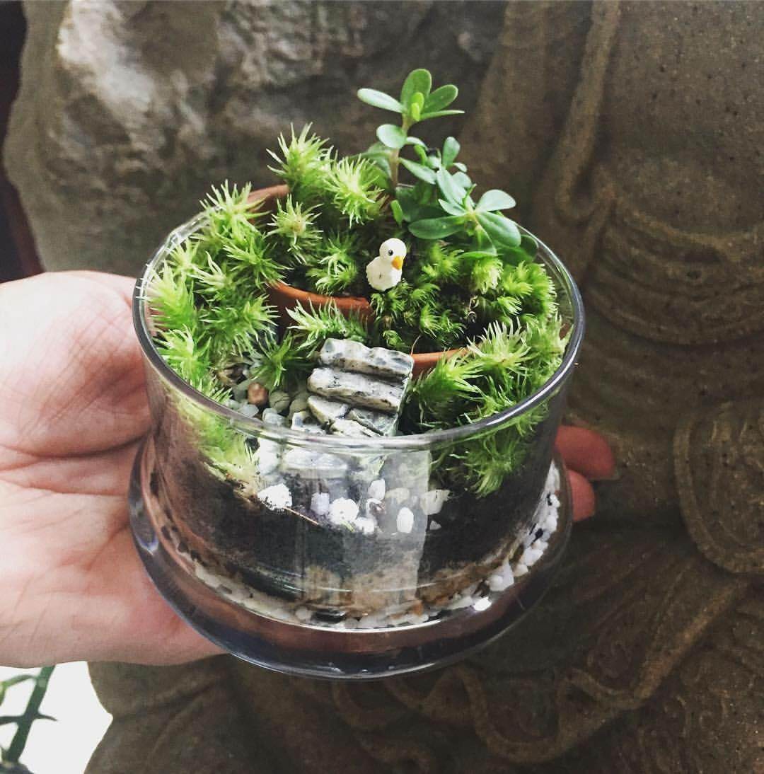 img-gallery-featured