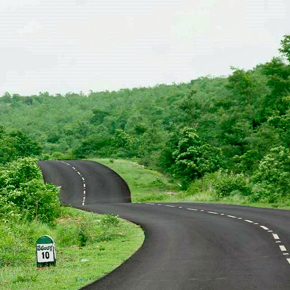 Road,Green,Thoroughfare,Natural landscape,Asphalt,Atmospheric phenomenon,Tree,Infrastructure,Lane,Grass