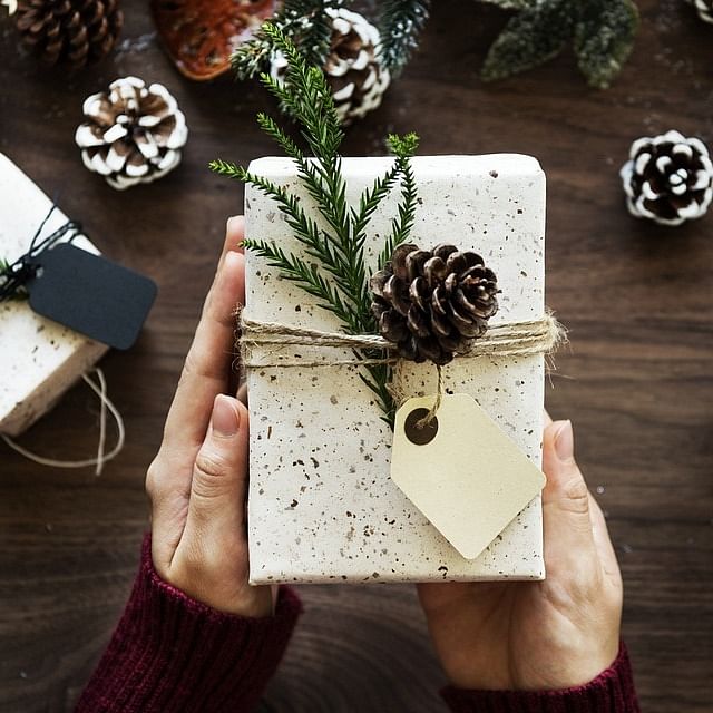 Conifer cone,Table,Gift wrapping,Branch,Tree,Pine,Conifer,Pine family,Plant,Hand