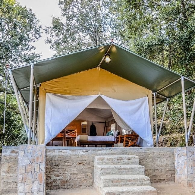 Tent,Tree,Room,Roof,House,Building,Home,Camp,Architecture,Shade