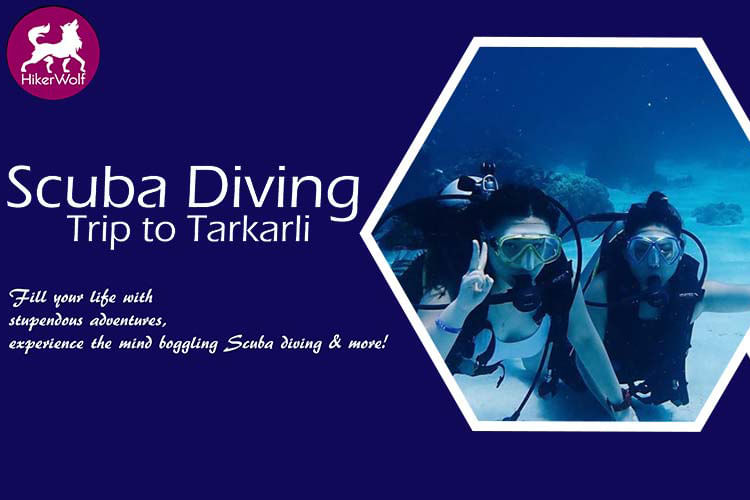 Text,Organism,Font,Brand,Electric blue,Graphic design