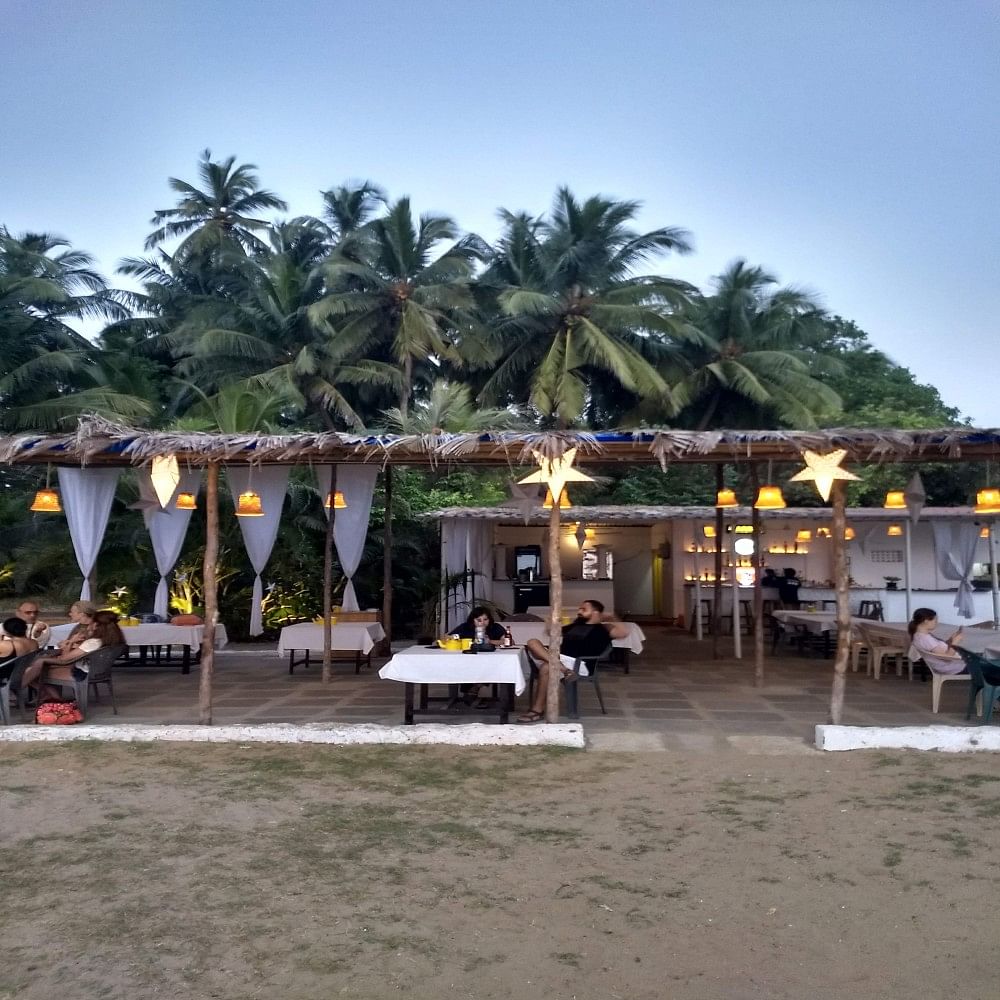 Resort,Palm tree,Vacation,Tree,Arecales,Beach,Restaurant,Building,Shade,Hotel