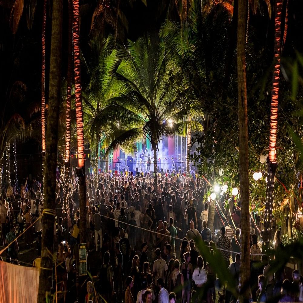 Light,Night,Lighting,Majorelle blue,Tree,Crowd,Plant,Event,Festival,Palm tree