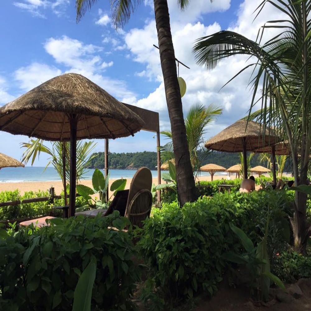 Resort,Tropics,Palm tree,Vacation,Attalea speciosa,Tree,Arecales,Thatching,Eco hotel,Sky