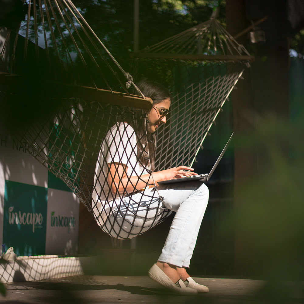 Net,Leisure,Photography,Fun,Tree,Stock photography