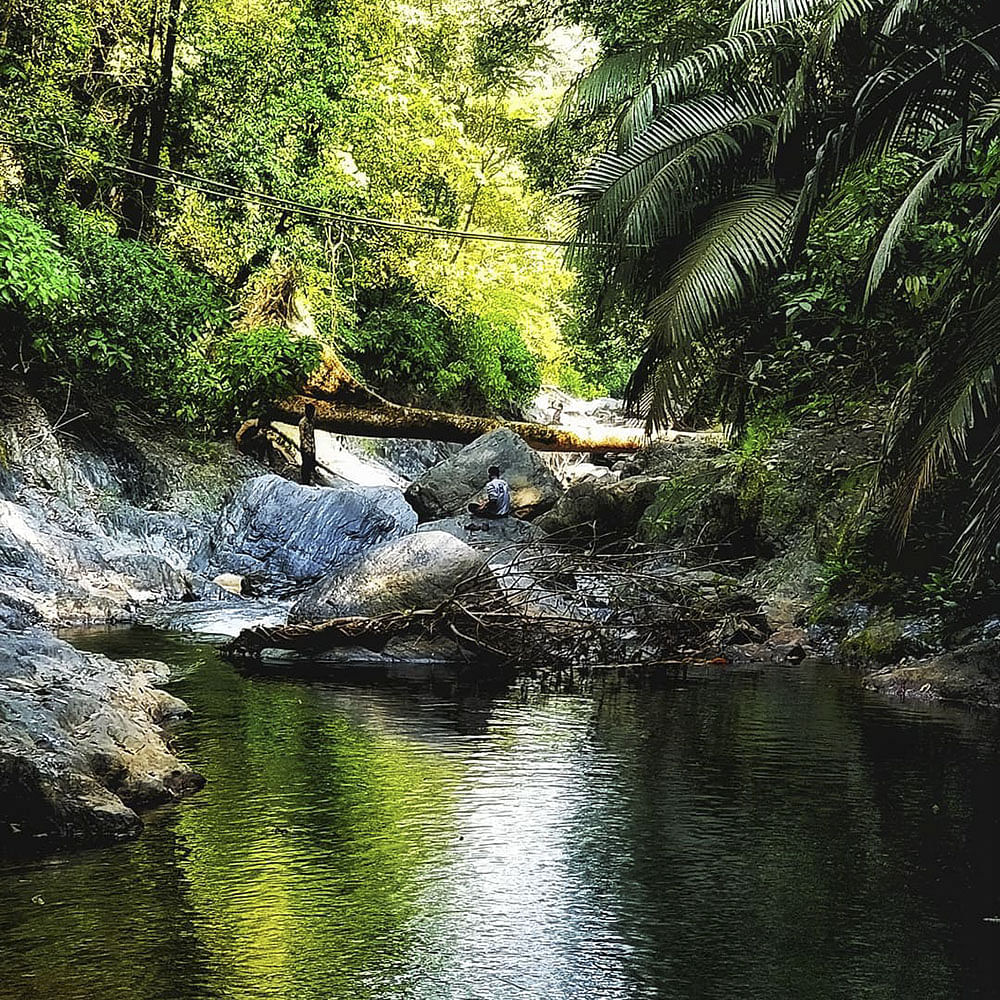 Body of water,Natural landscape,Water resources,Nature,Vegetation,Water,Watercourse,Nature reserve,Riparian zone,Natural environment