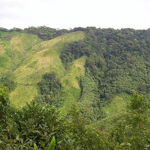 Vegetation,Natural landscape,Mountainous landforms,Nature reserve,Highland,Hill station,Mountain,Wilderness,Natural environment,Hill