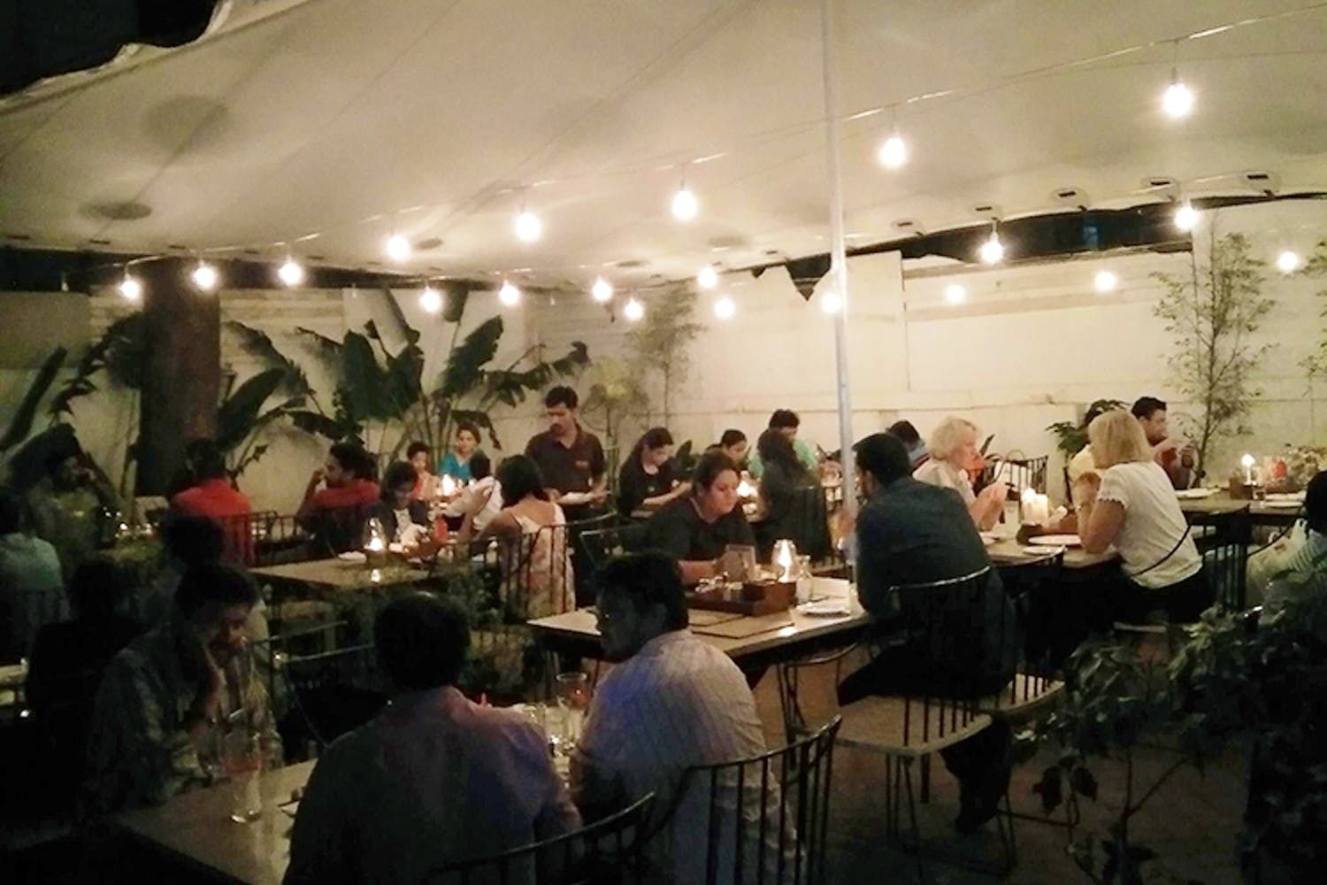 Restaurant,Event,Meal,Function hall,Cafeteria,Café,Supper,Lunch,Dinner,Building