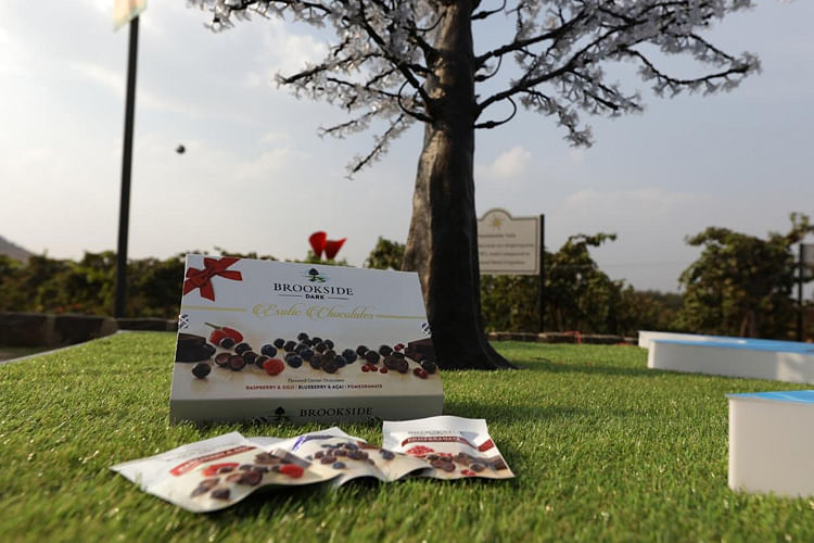 Tree,Memorial,Grass,Recreation,Plant,Lawn,Headstone