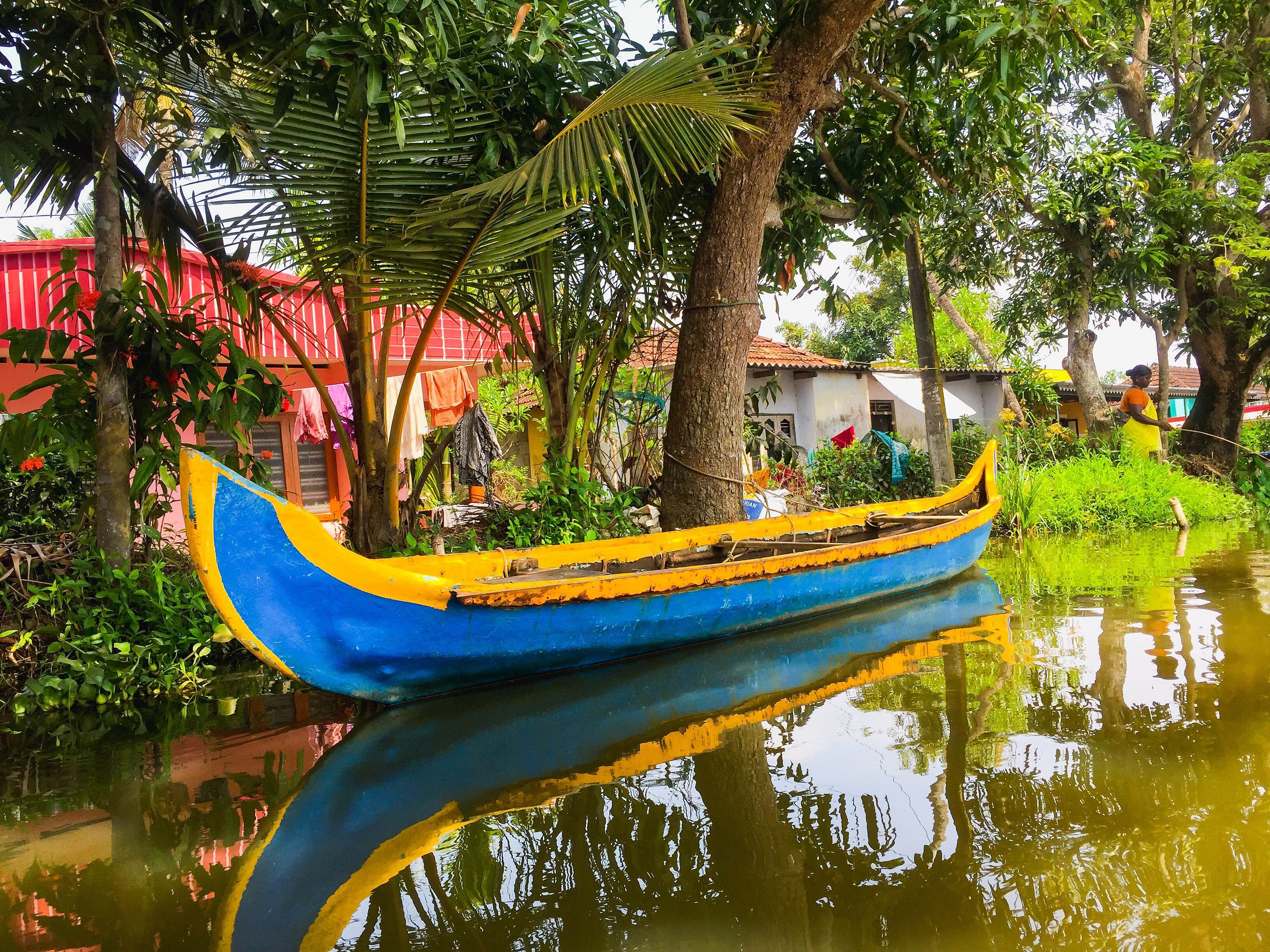 Water transportation,Nature,Vegetation,Boat,Tree,Waterway,Majorelle blue,Reflection,Vehicle,Botany