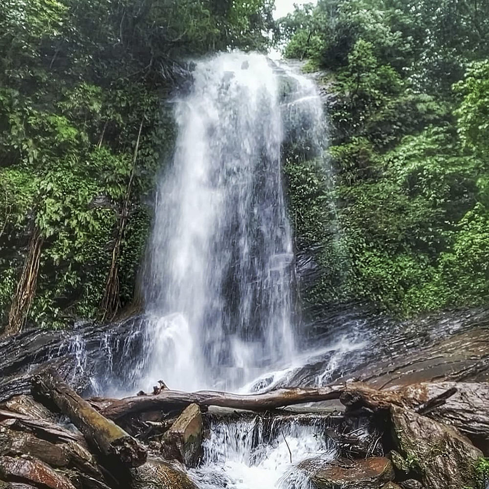 Waterfall,Water resources,Body of water,Natural landscape,Nature,Water,Nature reserve,Watercourse,Vegetation,Chute