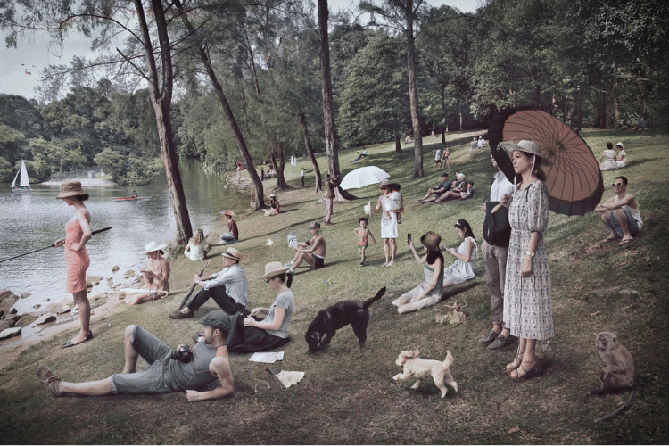 Adaptation,Recreation,Canidae,Picnic,Hunting dog,Play