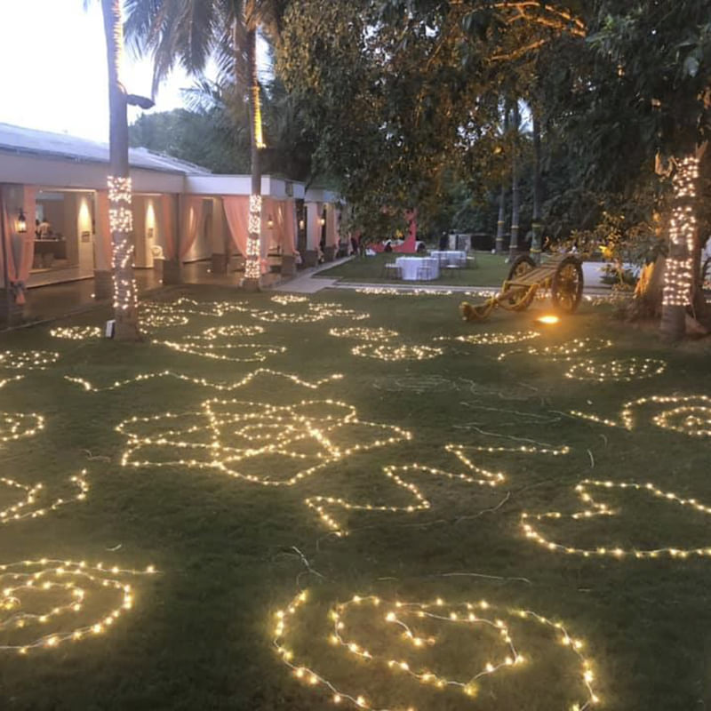 Lighting,Light,Tree,Night,Sky,Yard,Landscape,Plant