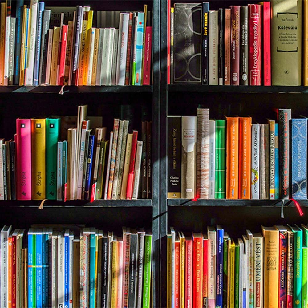 Shelving,Bookcase,Shelf,Book,Library,Publication,Furniture,Bookselling,Public library,Cyclone