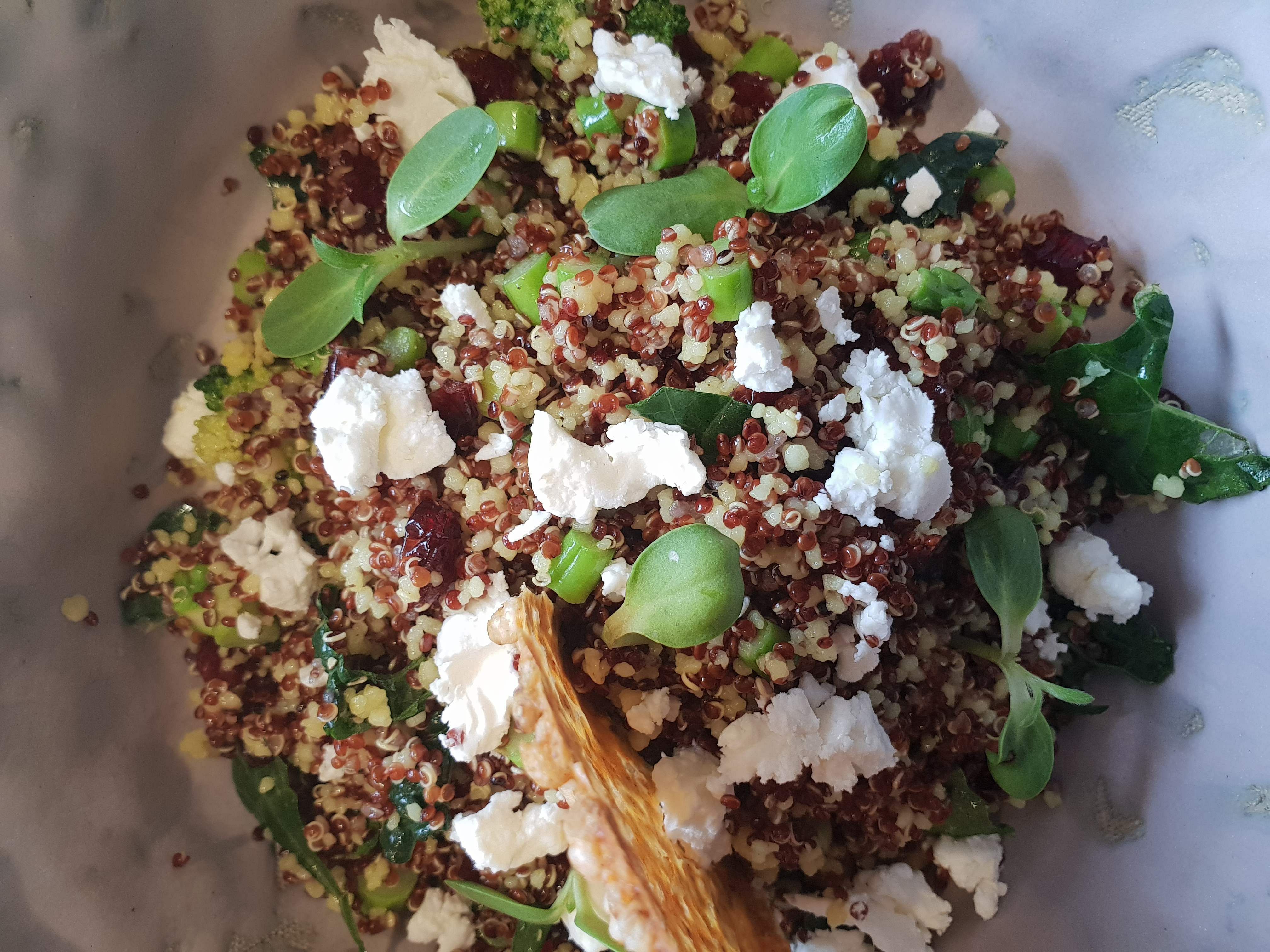 Dish,Food,Cuisine,Ingredient,Produce,Feta,Goat cheese,Recipe,Vegetarian food,Larb