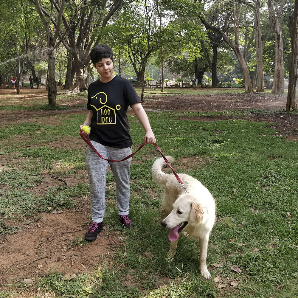 Mammal,Canidae,Dog,Dog breed,Dog walking,Carnivore,Grass,Tree,Sporting Group,Companion dog