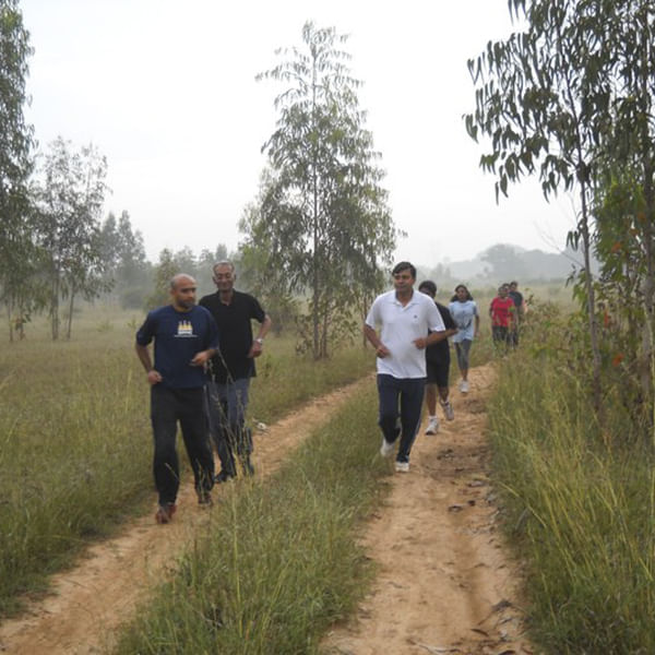 Trail,Natural landscape,Walking,Nature reserve,Community,Plant community,Recreation,Grass family,Tree,Rural area