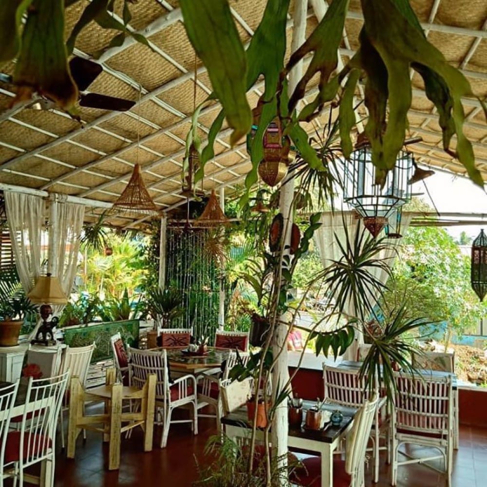 Restaurant,Botany,Building,Plant,Flower,Interior design,Houseplant,Ceiling,House,Vascular plant