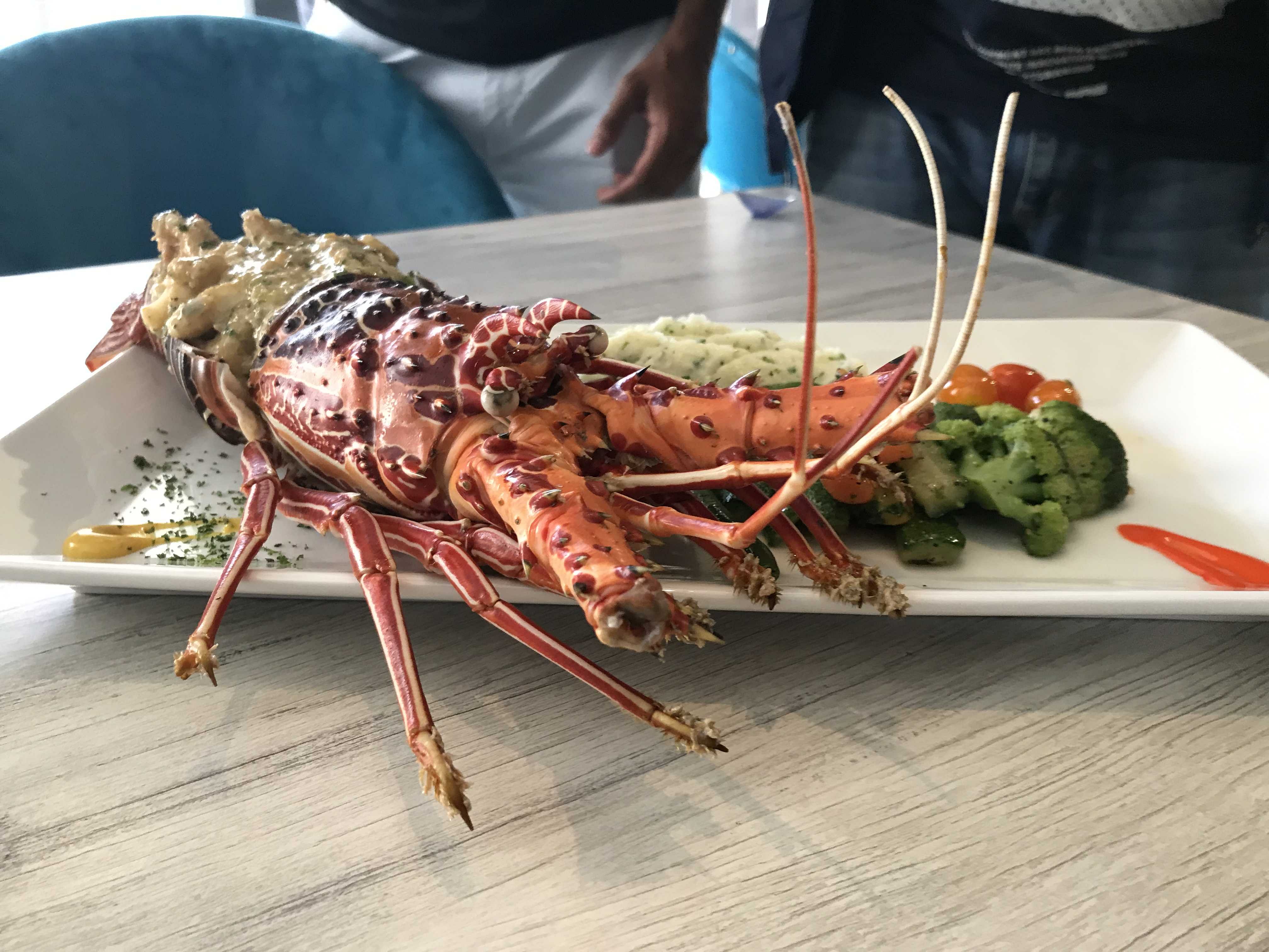 Food,Spiny lobster,Lobster,Dish,Lobster thermidor,American lobster,Cuisine,Seafood,Homarus,Lunch