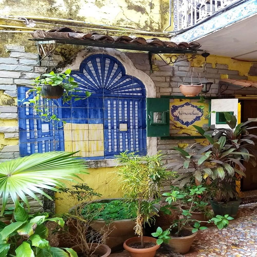 Majorelle blue,Botany,Wall,Houseplant,Architecture,Building,Courtyard,Plant,House,Real estate