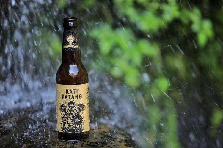 Bottle,Drink,Glass bottle,Beer bottle,Alcoholic beverage,Alcohol,Beer,Distilled beverage,Plant,Liqueur