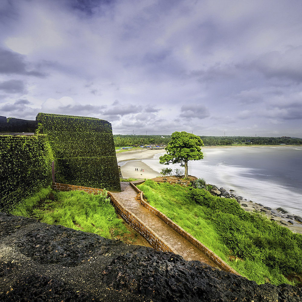 Water,Nature,Green,Natural landscape,Sky,Vegetation,Grass,Tree,Water resources,Waterway