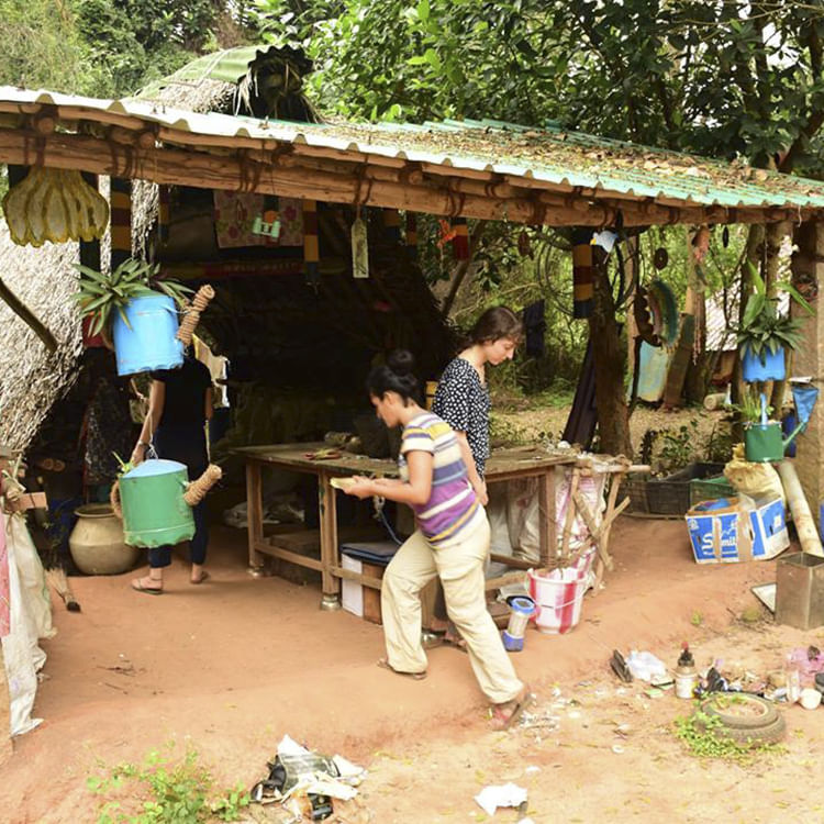 Adaptation,Rural area,Shack,Leisure,Village,Jungle