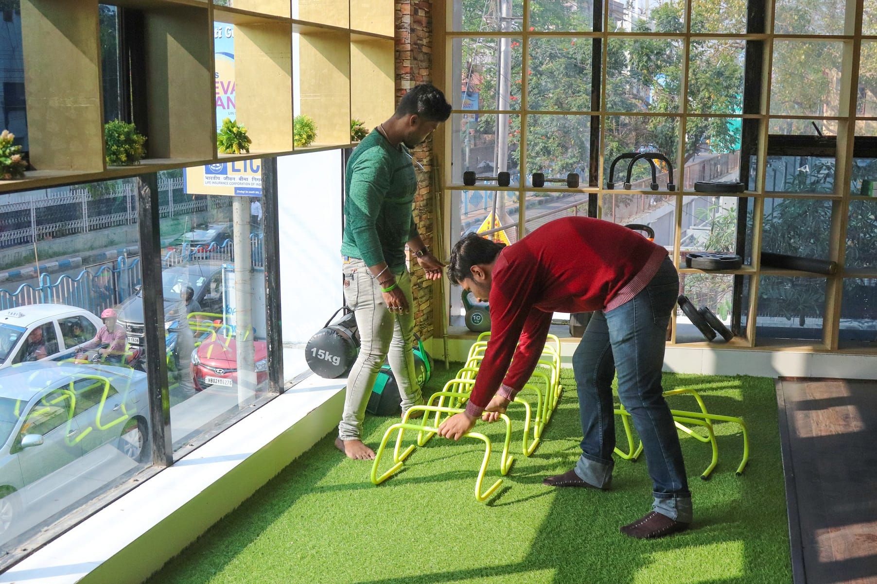 Green,Grass,Lawn,Grass family,Tree,Artificial turf,Organism,Plant,Recreation,Miniature golf