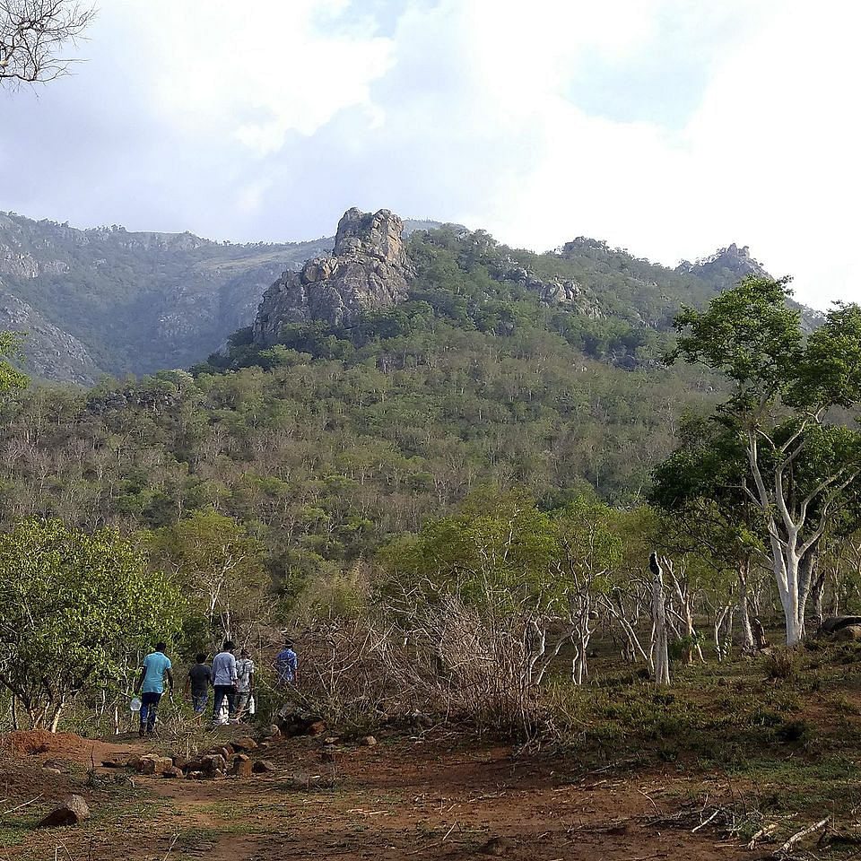 Vegetation,Mountainous landforms,Mountain,Hill station,Wilderness,Nature reserve,Natural environment,Hill,Natural landscape,Geological phenomenon