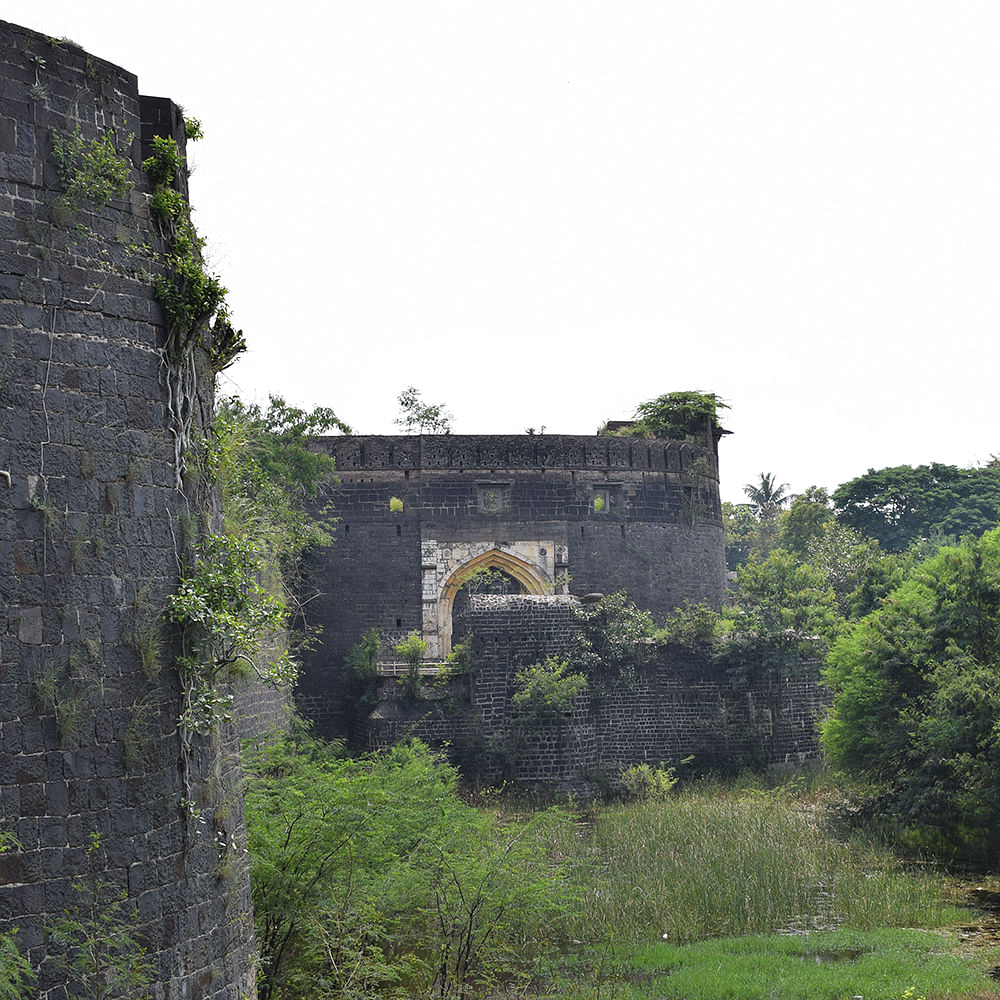 Ruins,Wall,Fortification,Building,Castle,Architecture,History,Ancient history,Tree,Rural area