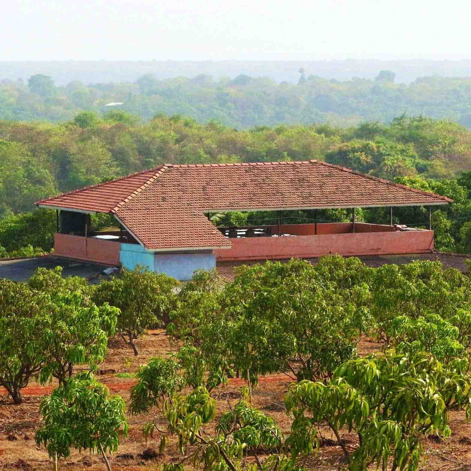 Vegetation,Hill station,Property,Rural area,Roof,Plantation,House,Land lot,Plant community,Soil