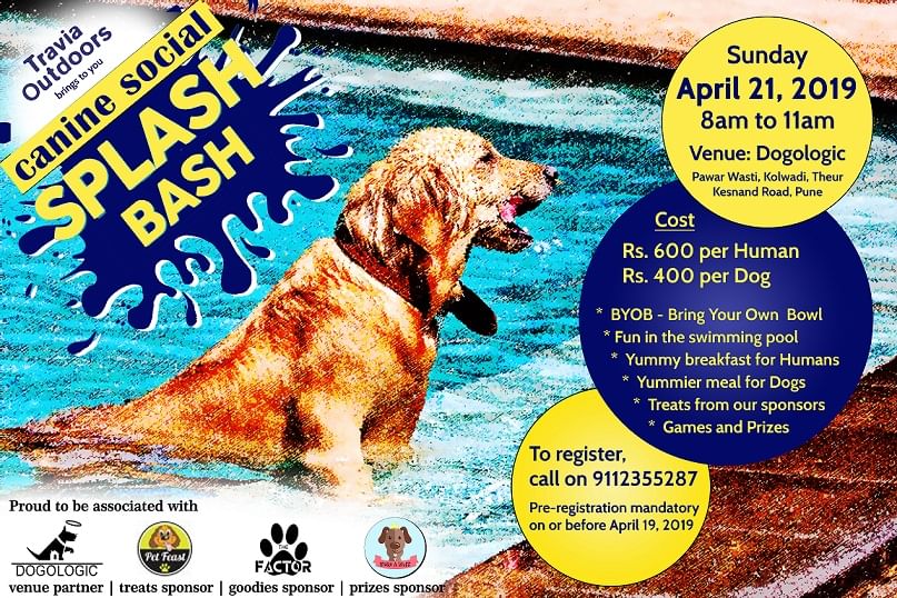 Canidae,Dog,Sporting Group,Dog breed,Carnivore