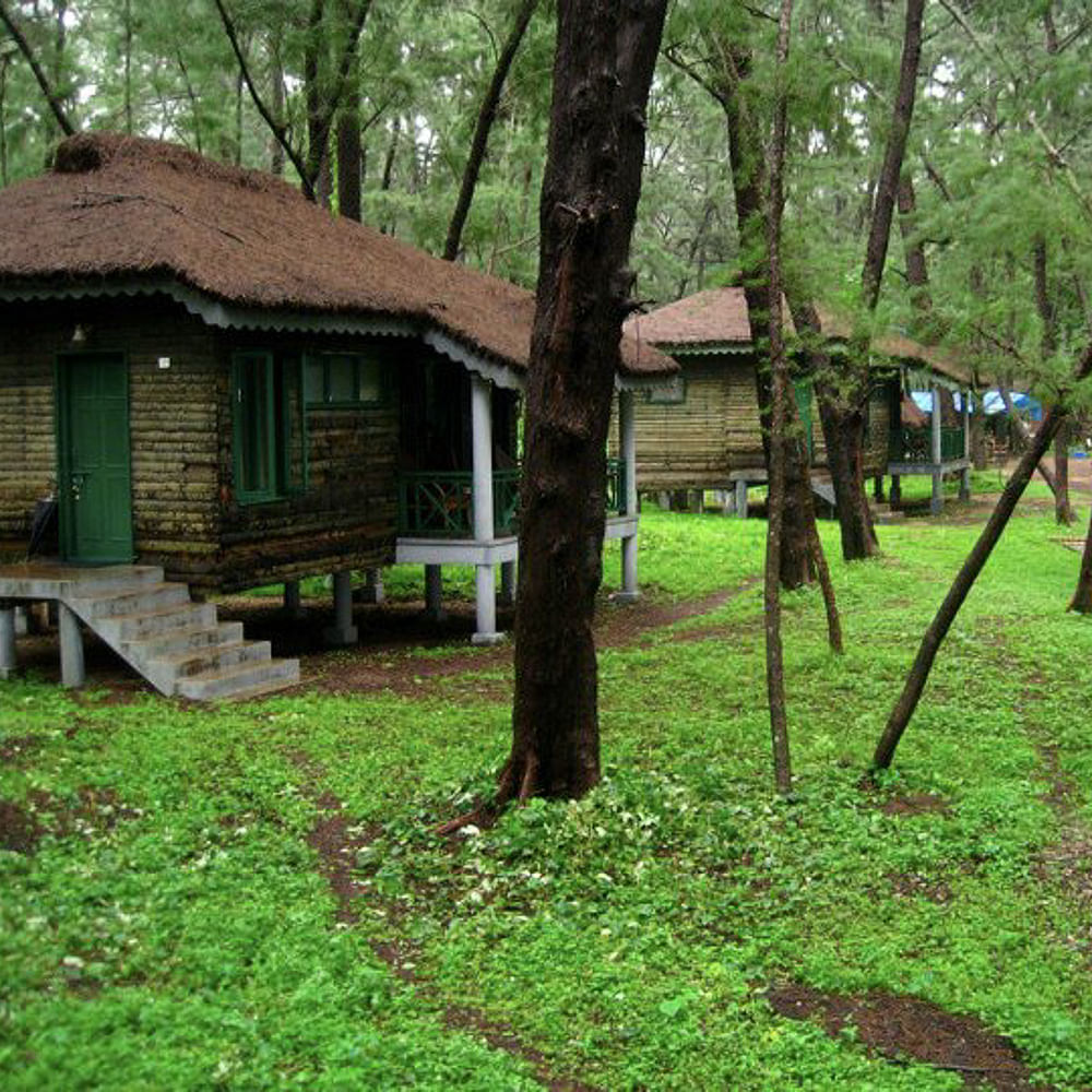 Green,Tree,Property,House,Nature reserve,Cottage,Grass,Woodland,Forest,Hut