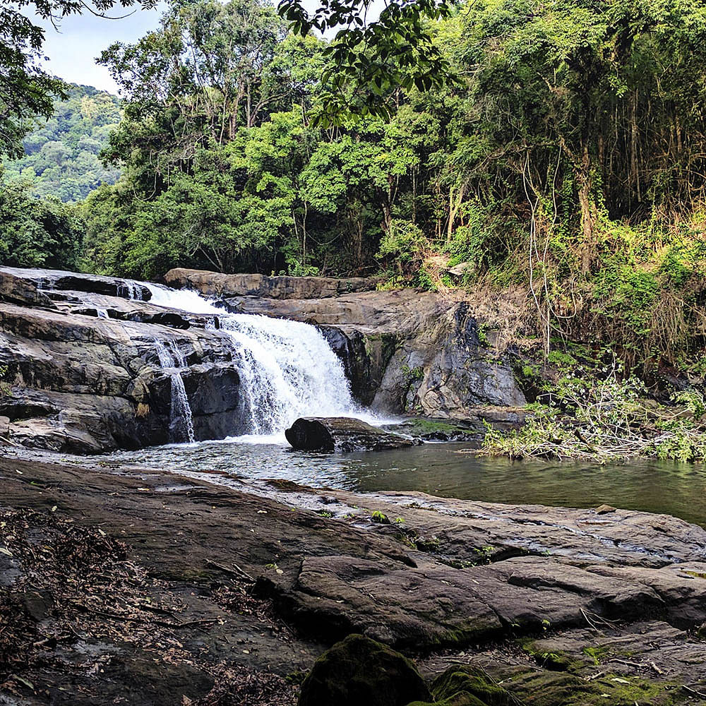 Waterfall,Body of water,Water resources,Natural landscape,Water,Nature,Vegetation,Nature reserve,Watercourse,Stream