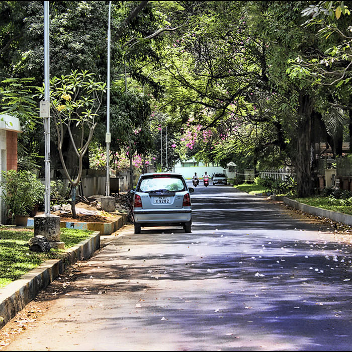 Road,Nature,Lane,Tree,Green,Residential area,Road surface,Vegetation,Natural environment,Asphalt