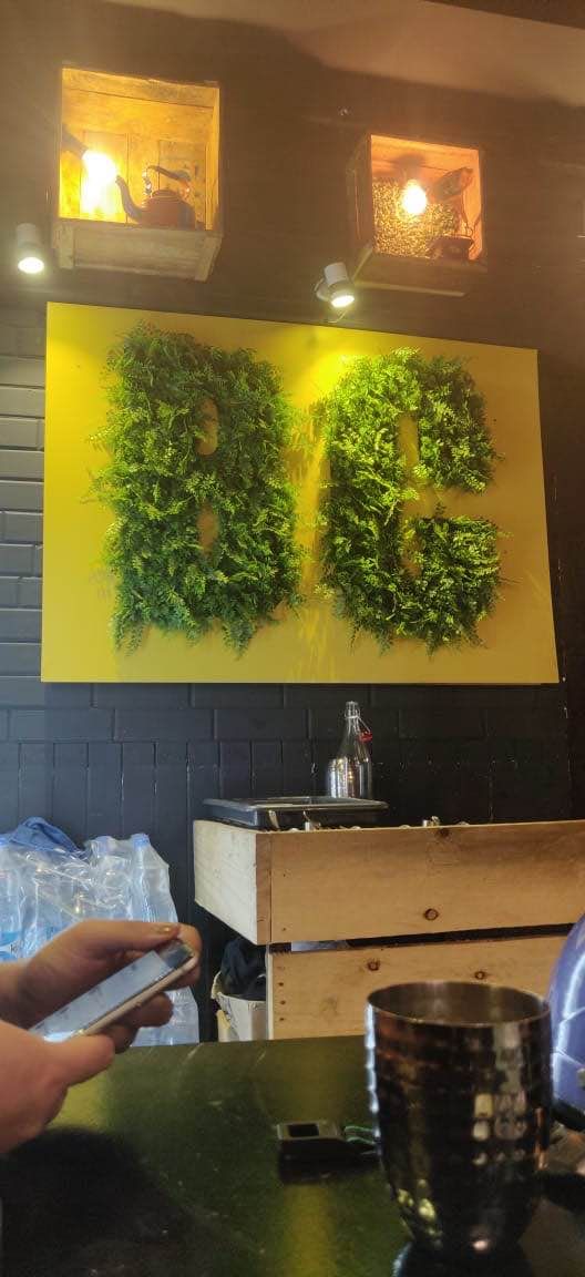 Plant,Houseplant,Tree,Herb