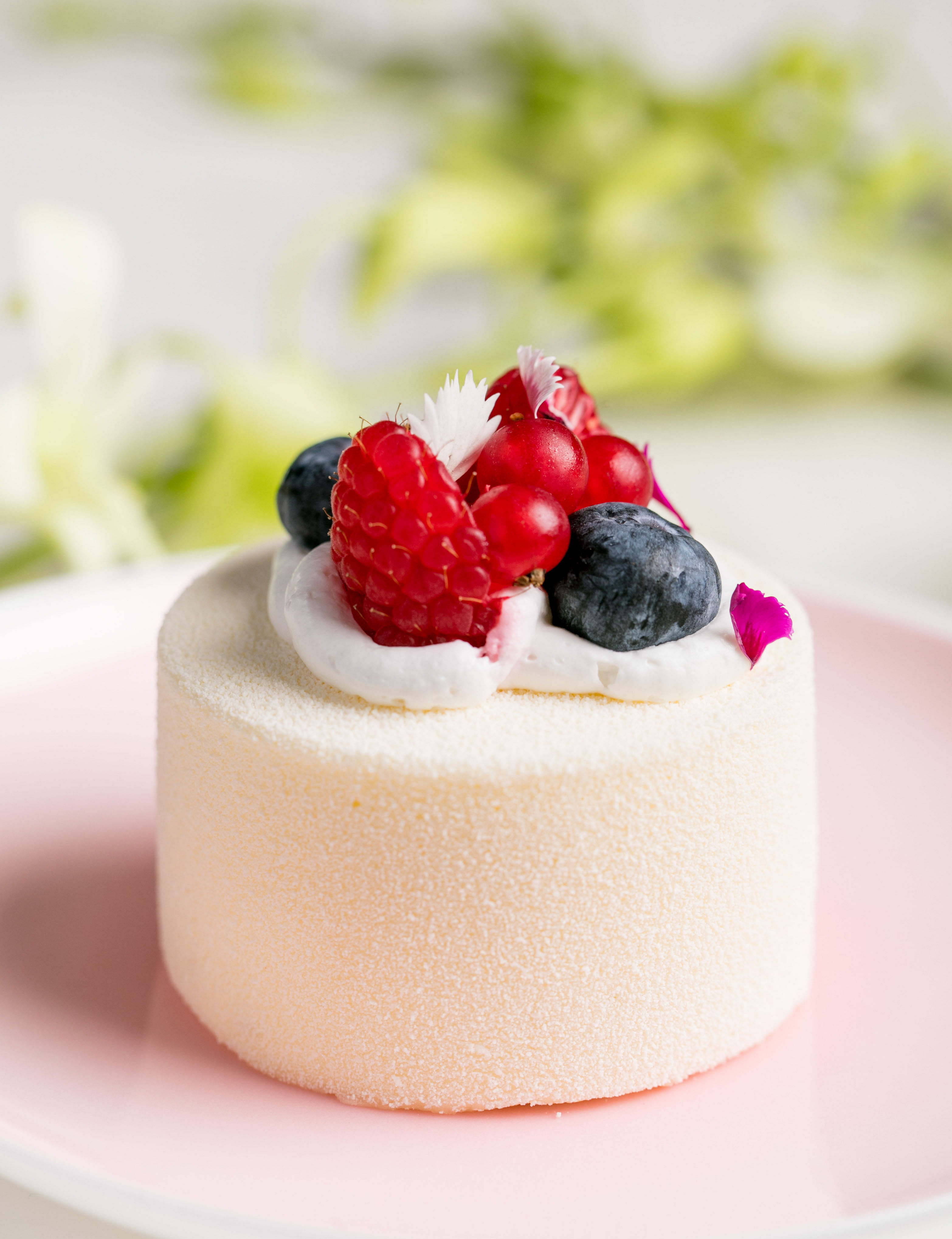 Food,Dessert,Dish,Blancmange,Cuisine,Panna cotta,Semifreddo,Berry,Cream,Ingredient