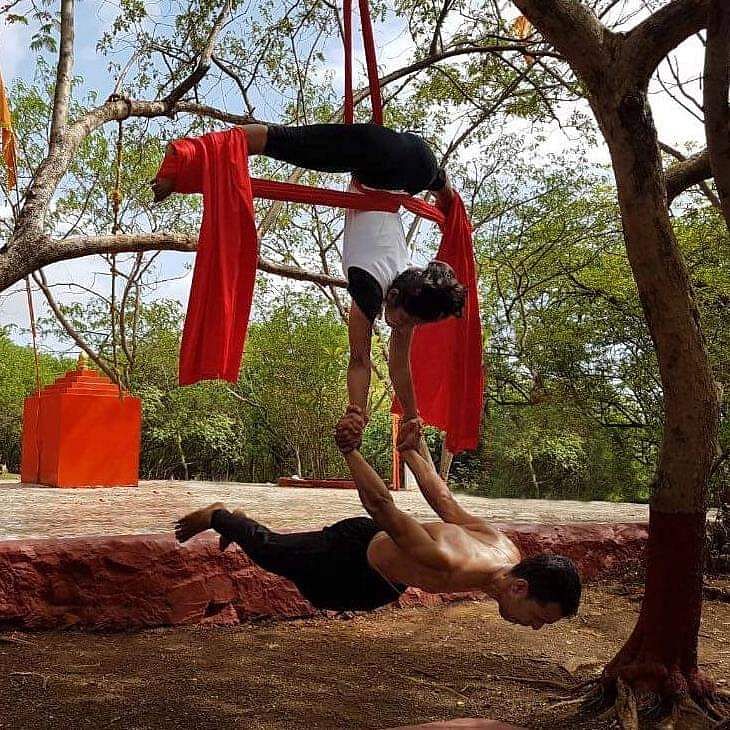 Acrobatics,Physical fitness,Flip (acrobatic),Performance,Tree,Performance art,Performing arts,Leisure,Sportswear,Stretching
