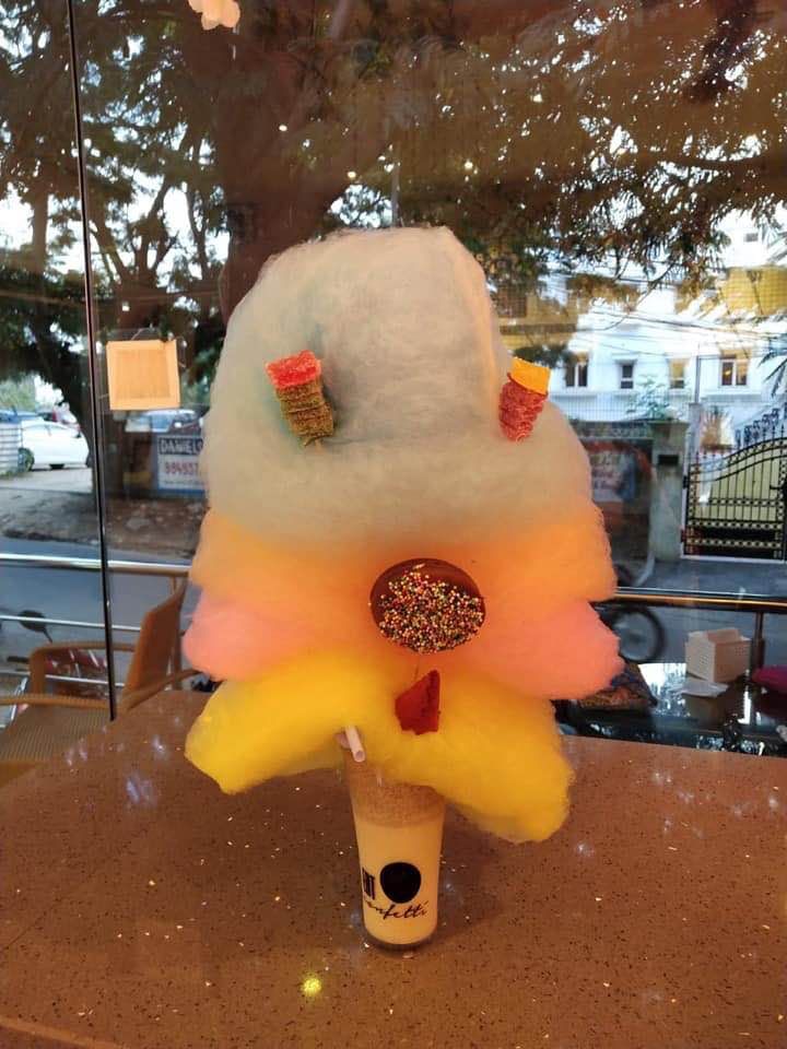 Flower,Plant,Stuffed toy