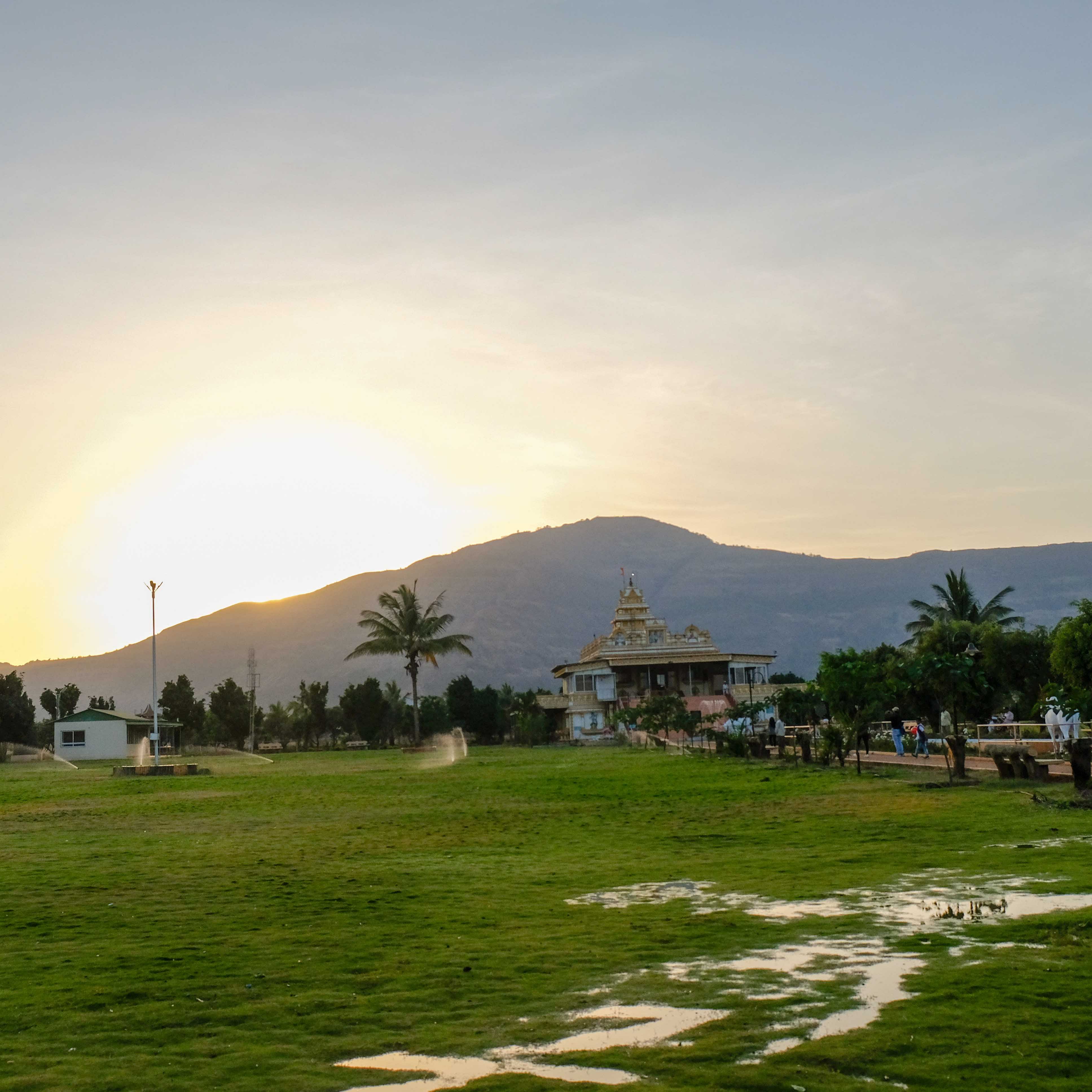 Sky,Daytime,Tree,Palm tree,Morning,Hill,Grass,Cloud,Arecales,Land lot