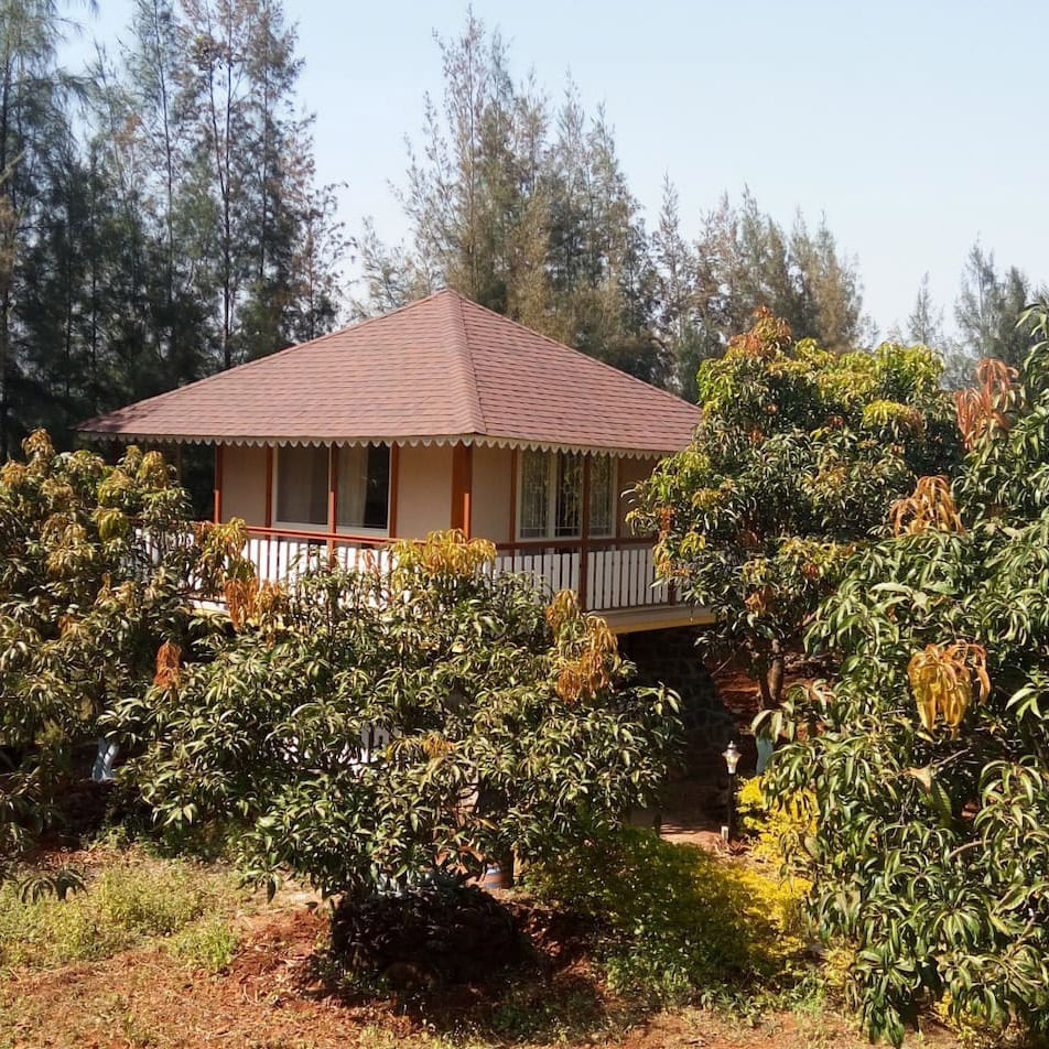 Property,Tree,House,Home,Real estate,Botany,Roof,Plant,Shrub,Cottage