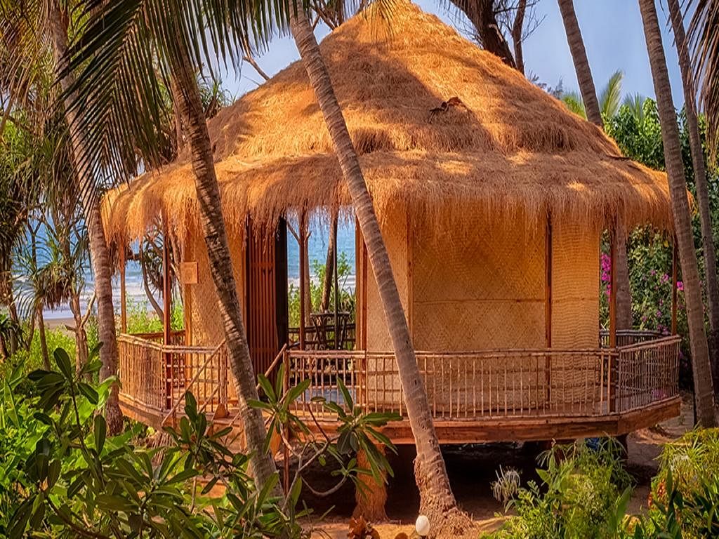 Hut,Thatching,Shack,Jungle,Tree,Cottage,House,Eco hotel,Building,Palm tree