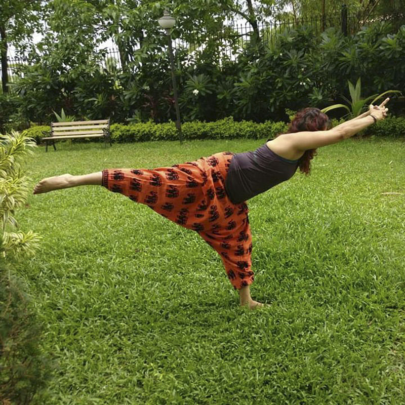 Grass,Leaf,Giraffe,Leg,Tree,Hand,Plant,Stretching,Meadow,Grassland