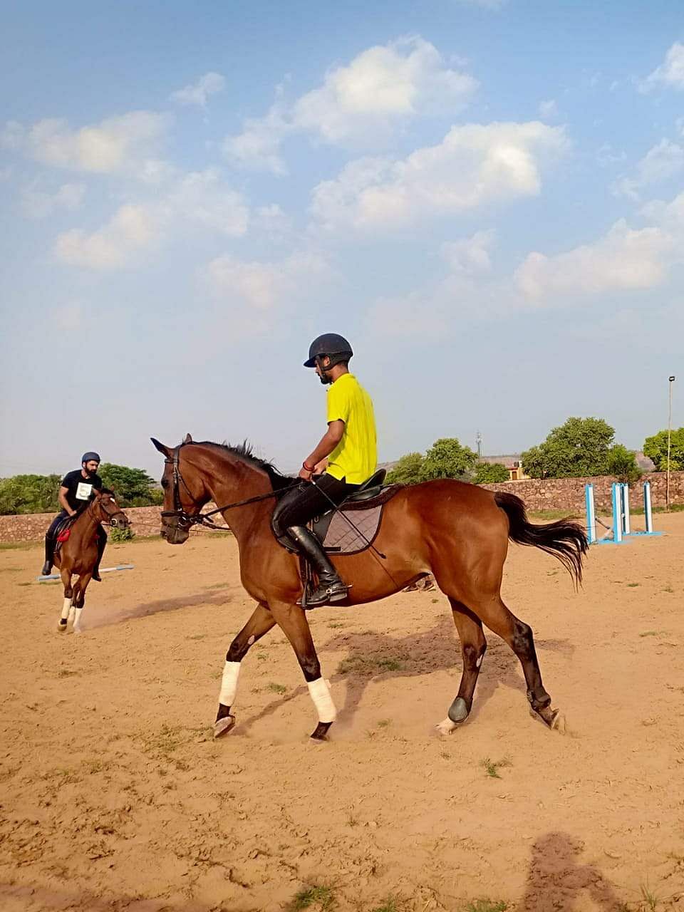 Horse,Halter,Rein,Animal sports,Mammal,Sports,Vertebrate,Bridle,Equestrianism,Horse supplies