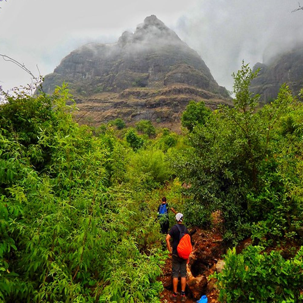 Vegetation,Mountainous landforms,Nature,Mountain,Wilderness,Natural landscape,Jungle,Nature reserve,Hill station,Rainforest
