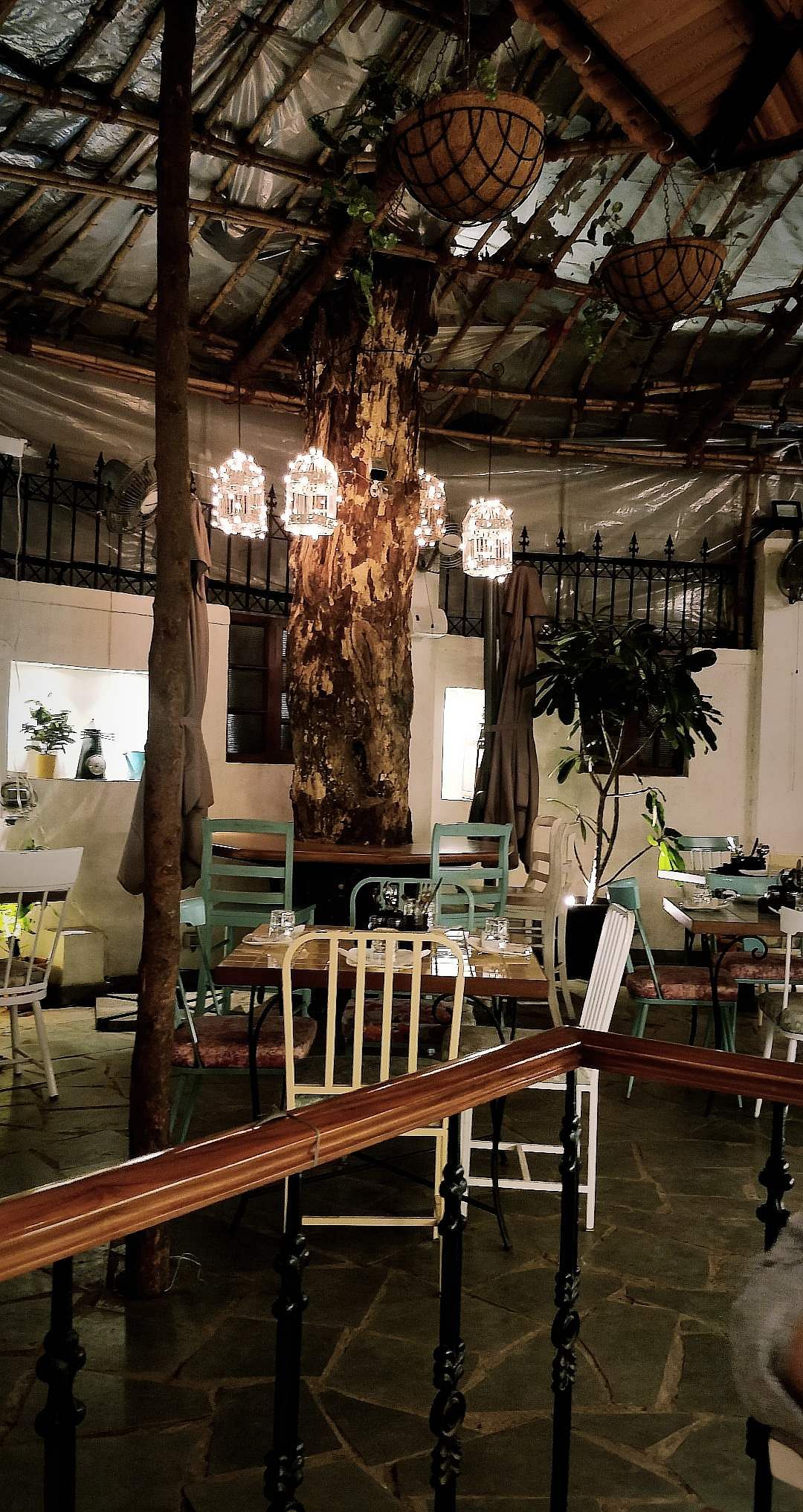 Furniture,Table,Room,Building,Interior design,Tree,Chair,Branch,Architecture,Chandelier