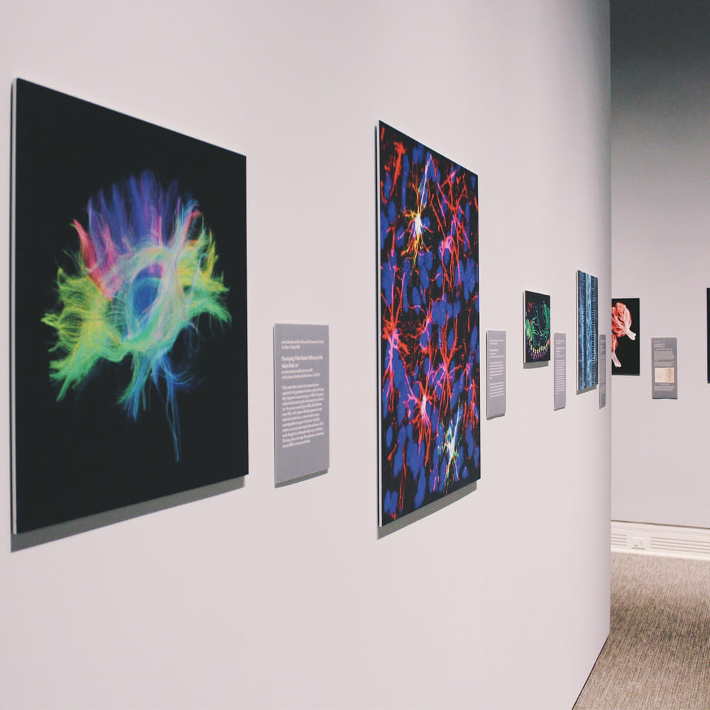 Modern art,Art,Art exhibition,Art gallery,Visual arts,Exhibition,Painting,Vernissage,Design,Tourist attraction